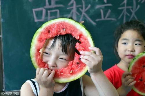 小朋友吃娱乐圈的瓜,小朋友眼中的娱乐圈八卦风云