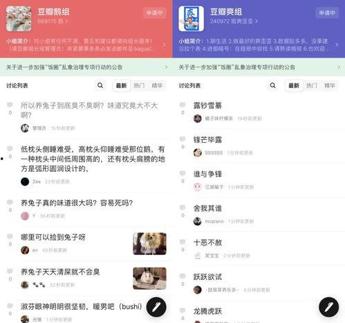 娱乐吃瓜押韵词语,吃瓜群众齐狂欢