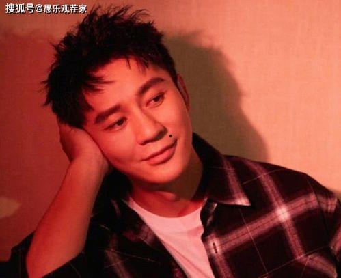 娱乐圈吃瓜鹅李晨,李晨的瓜田传奇