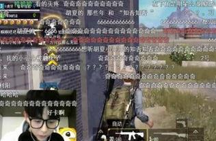 娱乐吃瓜君bgm,揭秘娱乐圈幕后故事，带你领略明星们的真实生活