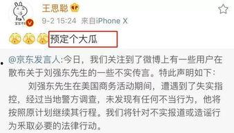 娱乐圈吃瓜论文,揭秘明星背后的真相与八卦