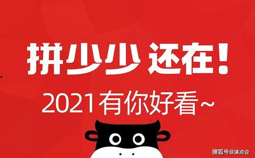 吃瓜娱乐圈公众号,揭秘明星幕后真相！