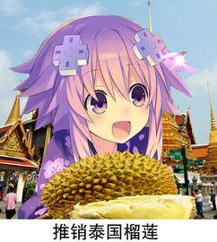 娱乐吃瓜酱大冒险,揭秘娱乐圈背后的秘密与奇闻异事