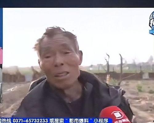 娱乐吃瓜酱76岁爷爷,揭秘娱乐圈背后的故事