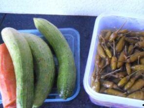 泡椒娱乐瓜地吃瓜,揭秘娱乐圈幕后风云