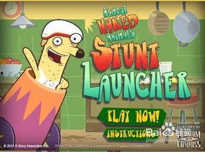 吃瓜小熊娱乐,揭秘娱乐圈幕后故事