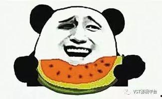 娱乐吃瓜群众集合图片,吃瓜群众集结，揭秘明星幕后故事