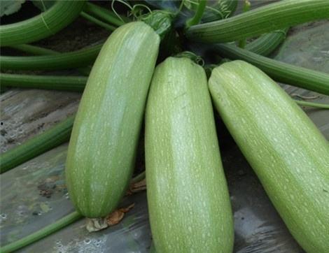 娱乐圈吃瓜有什么好处,揭秘娱乐八卦背后的乐趣与益处