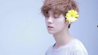 娱乐吃瓜社肖战,娱乐吃瓜社的焦点人物